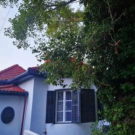 דירה Arpad House *