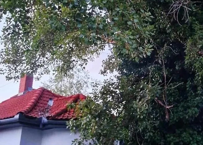 Arpad House *